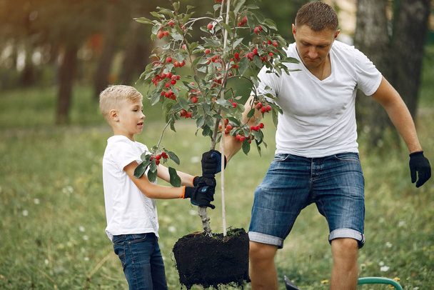 Father with little son are planting a tree on a yard - Zdjęcie, obraz