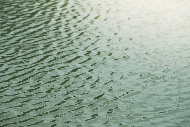 superficie verde del agua por el viento. Superficie del agua con volantes por el viento ligero
  - Foto, Imagen