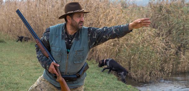 Un homme avec un pistolet à la main et un gilet vert lors d'une chasse au faisan dans une zone boisée par temps nuageux. Chasseur avec des chiens à la recherche de jeu
. - Photo, image