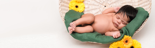 panoramic shot of newborn mixed race baby sleeping in basket near flowers on white - Photo, image