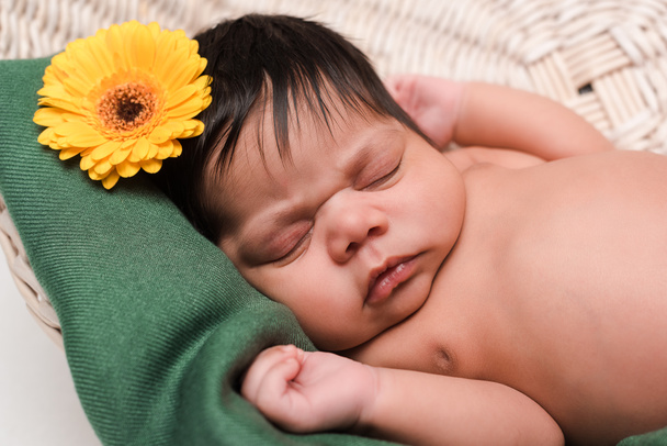 Neugeborenes Mischlingsbaby schläft in Korb neben Blume  - Foto, Bild