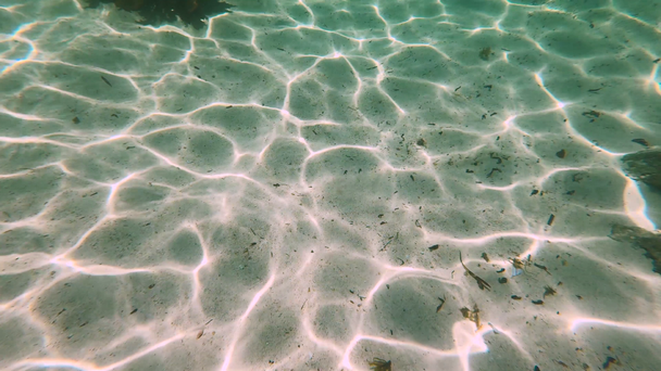 fresh clear water of the Indian Ocean shot from underwater with sunlight reflection on the sand underneath and ripples, camera coming up to the surface in the end - Footage, Video