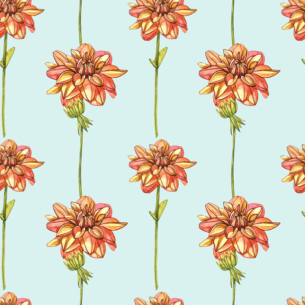 Watercolor orange dahlias. Seamless patterns. Wild flower set isolated on white. Botanical watercolor illustration, orange dahlias bouquet, rustic dahlias flowers. - Foto, Imagem