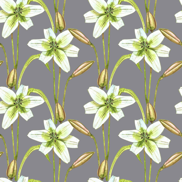 Watercolor white lilies. Seamless patterns. Wild flower set isolated on white. Botanical watercolor illustration, white lilies bouquet, rustic lilies flowers. - Foto, imagen