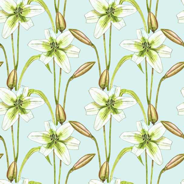 Watercolor white lilies. Seamless patterns. Wild flower set isolated on white. Botanical watercolor illustration, white lilies bouquet, rustic lilies flowers. - Φωτογραφία, εικόνα