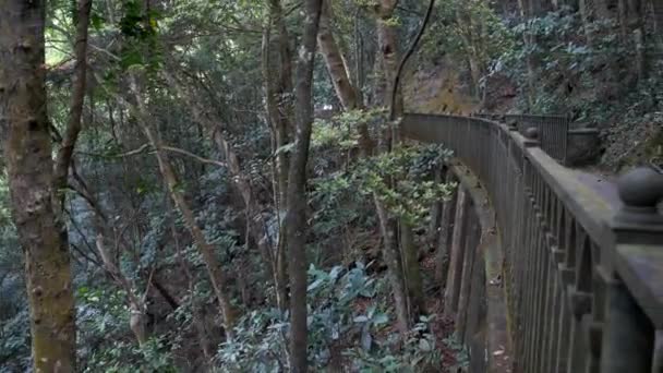 Menina mista atraente na ponte de montanha vazia fica assustado e corre para fora
 - Filmagem, Vídeo
