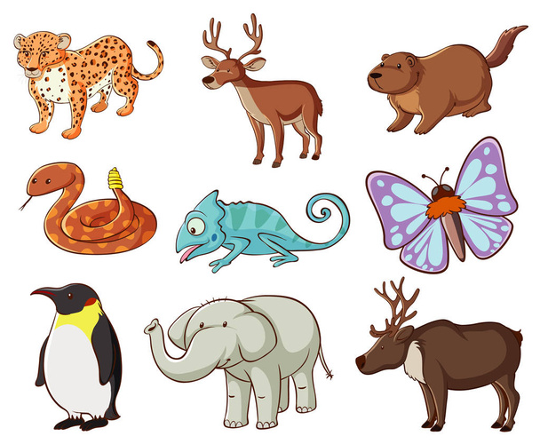 Large set of wildlife with many types of animals and insects - Vector, Image