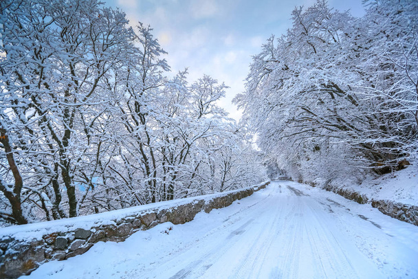 schneebedeckte Straße mit schneebedecktem Wald. - Foto, Bild