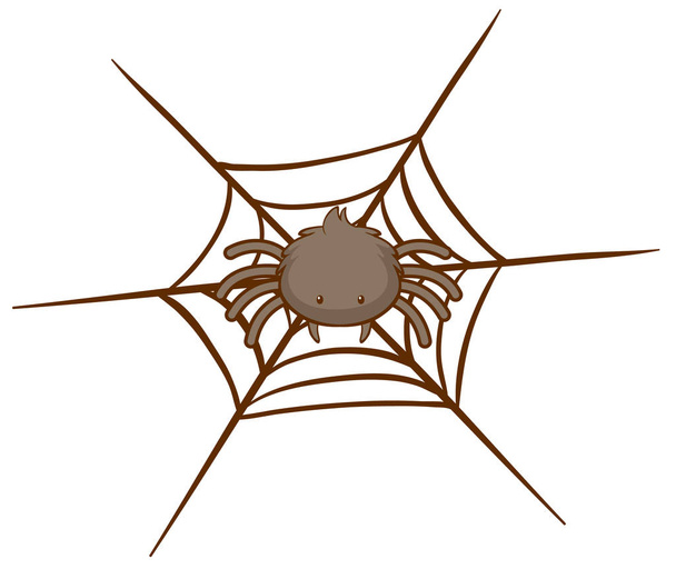 Spider on web on white background - Vecteur, image