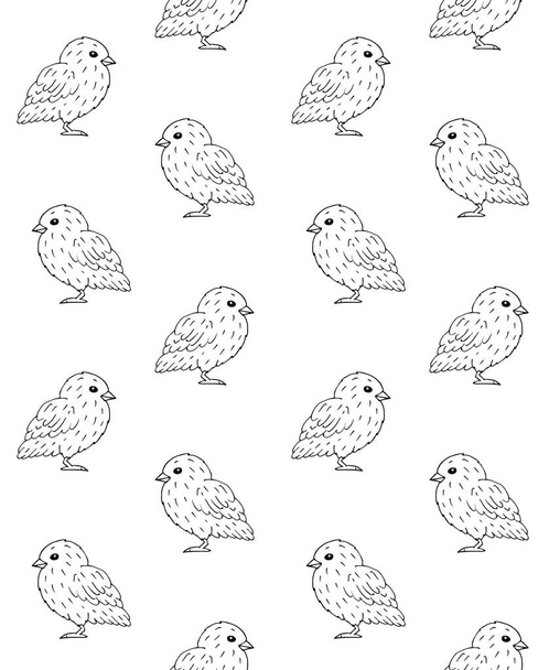 Vector seamless pattern of hand drawn doodle sketch baby chicks isolated on white background - Wektor, obraz