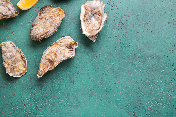 Tasty oysters on color background - Photo, image