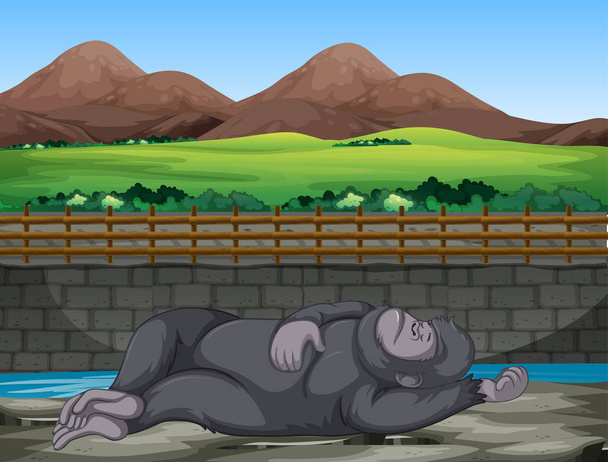 Scéna s gorilou spící v zoo - Vektor, obrázek