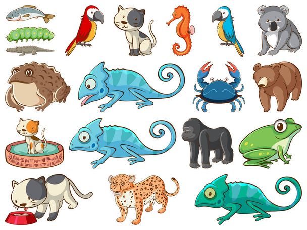 Большой набор дикой природы со многими видами животных
 - Вектор,изображение