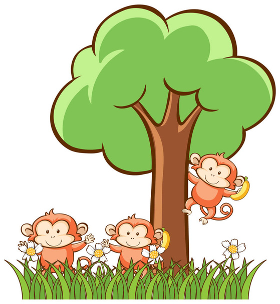 Macacos no fundo branco
 - Vetor, Imagem