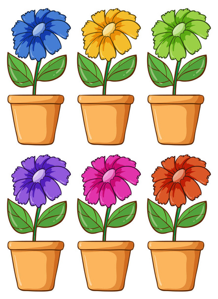 Izolowany zestaw kwiatów w różnych kolorach - Wektor, obraz