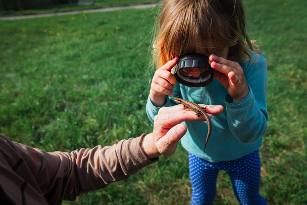 çocuklar öğrenme - çocuk büyüteç ile kertenkele keşfetmek - Fotoğraf, Görsel