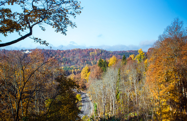 Beautiful autumn landscape. Sigulda, Latvia - Foto, Bild