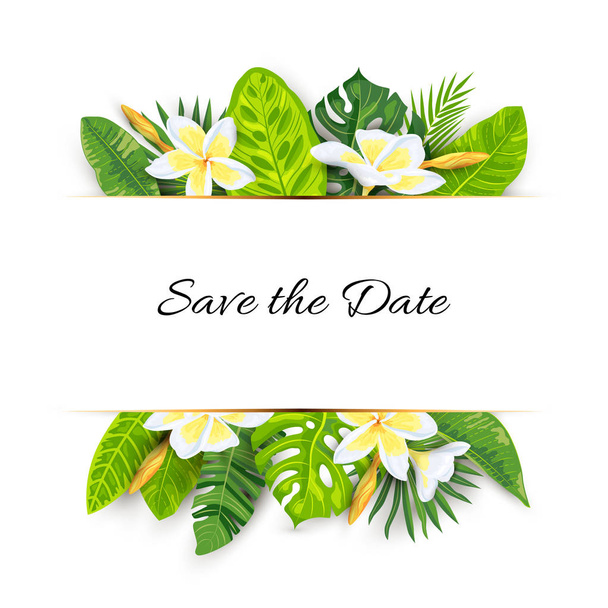 Backdrop with jungle leaves, tropical flower plumeria. Vector illustration summer templates. Place for text. Great for SPA flyer, beauty offer, wedding, poster, baby shower, bridal shower. - Vektor, Bild