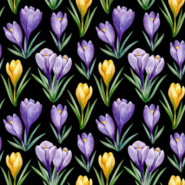 Purple and yellow crocuses seamless pattern isolated on black background. Watercolor spring floral illustration. Hand drawn texture for fabrics, wrapping paper, scrapbooking, wallpaper. - Foto, immagini