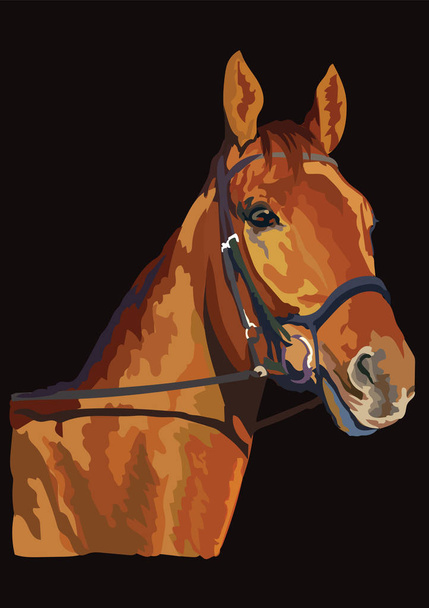 Värikäs hevonen muotokuva vektori 22
 - Vektori, kuva