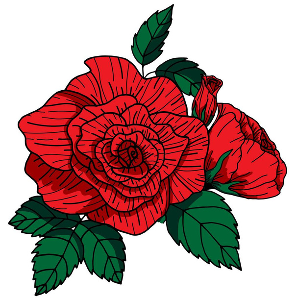 Vector illustration Flowers roses, red buds and green leaves. Set collection. Isolated on a white background. Ideal for paper and gift products. - Vector, imagen