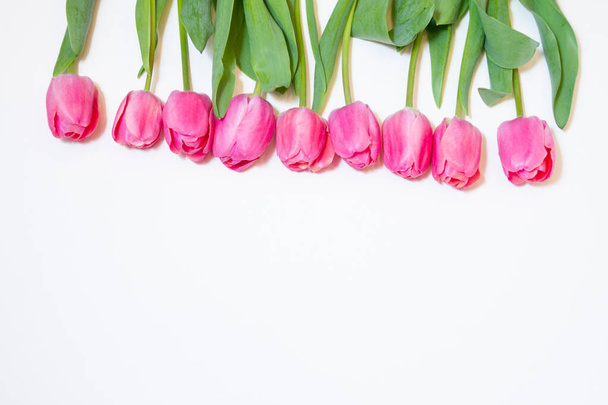 pink tulips on white background. free space for text - Foto, Imagem