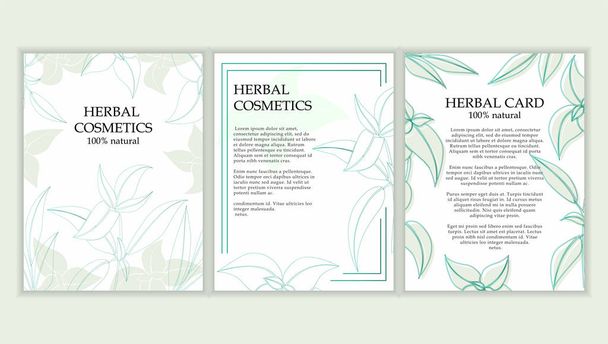 Plantilla de tarjeta de cosméticos herbales. Ilustración moderna para diseño y web
. - Vector, Imagen