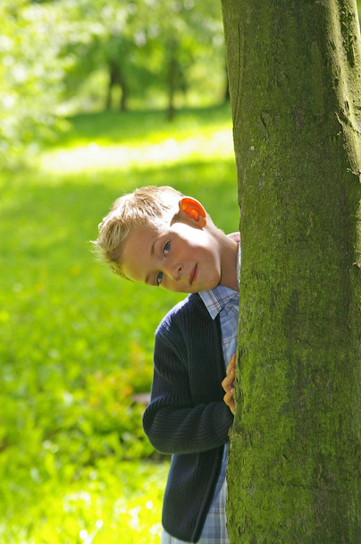boy with tree at the daytime  - Фото, зображення