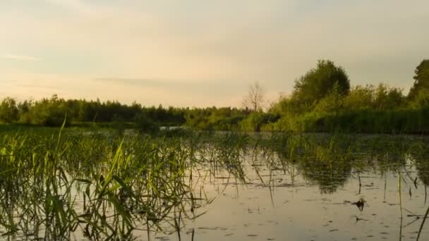 ηλιοβασίλεμα αντανακλάται στον ποταμό - Πλάνα, βίντεο