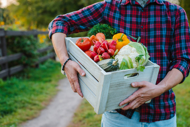 caja de madera con verduras frescas de granja de cerca en las manos de los hombres al aire libre
. - Foto, Imagen