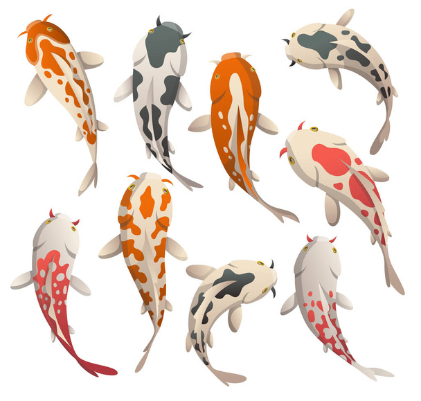 Stel rustig drijvende vissen in. Koi vis vector illustratie Japanse karper en kleurrijke oosterse koi in Azië. Set van Chinese goudvissen, traditionele visserij geïsoleerd op achtergrond - Vector, afbeelding