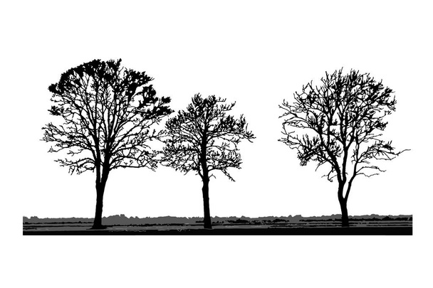 Baumsilhouetten isoliert auf weißem Hintergrund. realistische Reihe von Bäumen Silhouette und Gras, schwarze Form. Umrisse großer getrockneter Bäume mit kahlen Ästen ohne Blätter. Winterlandschaft. Aktienvektor - Vektor, Bild