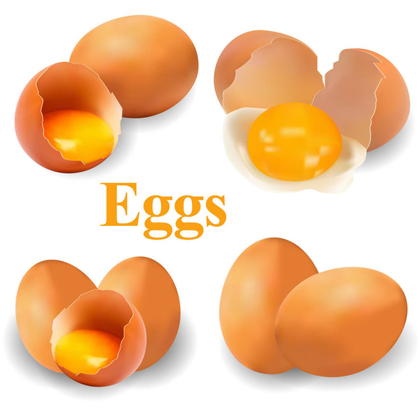 Broken egg with yolk on a transparent background, isolated, realistic vector illustration, 3D Fresh farm eggs, ingredient. Healthy eating - Vector, Image