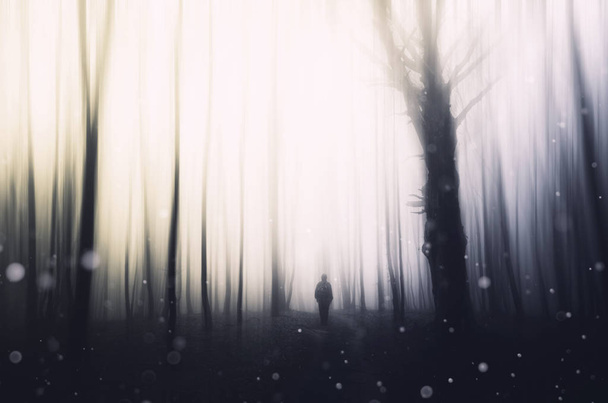 волшебный лес с человеком, идущим по лесной тропе, фантастический пейзаж
 - Фото, изображение