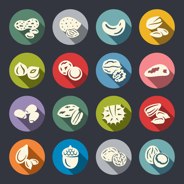 set of nuts icons, simply vector illustration     - Διάνυσμα, εικόνα