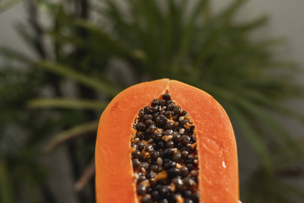 Half of ripe papaya with seeds with a green plants on background. Slices of sweet papaya. Halved papayas. Healthy exotic fruits. Vegetarian food. - Фото, изображение