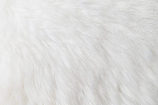 White fluffy fur texture patterns background - 写真・画像