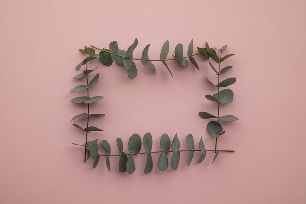 Border of eucalyptus leaves on a pastel pink background. Lay flat - Photo, Image