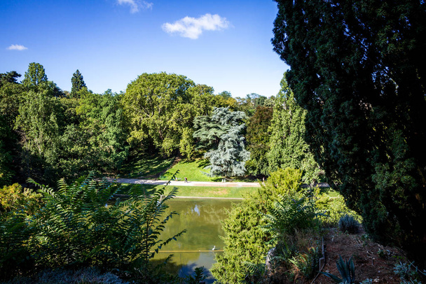 Pond in Buttes-Chaumont Park, Paris - Zdjęcie, obraz