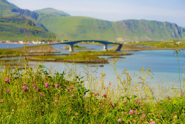 Road and bridge over sea., Lofoten Norway - Foto, imagen