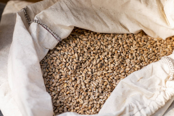 bag of wheat grain - Zdjęcie, obraz