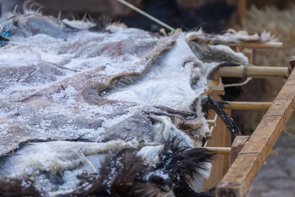 Animal hide being salted for drying - Photo, Image