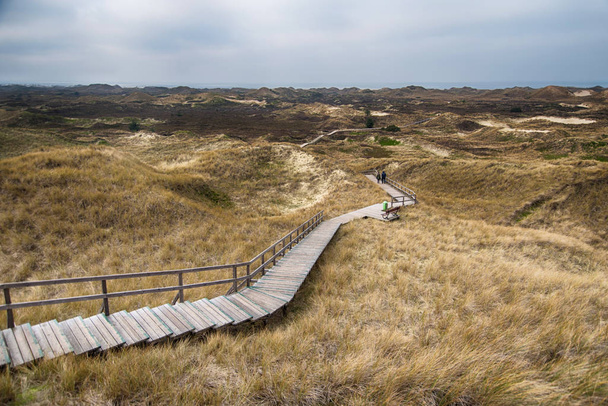 Dunes on the North Frisian Island Amrum in Germany - Valokuva, kuva