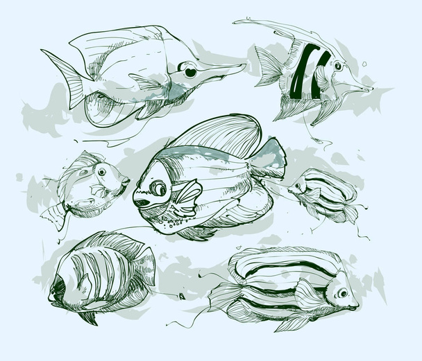 fish background, vector illustration  - Vektori, kuva