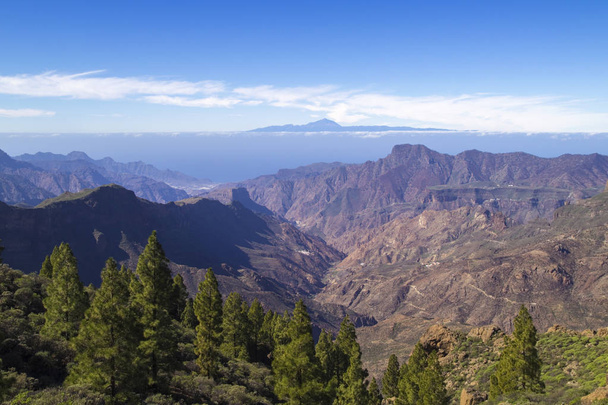 Gran Canaria, January - Fotografie, Obrázek