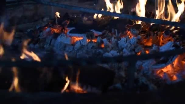 Focus van hout branden in een open haard. Vuur speelt rond verbrand hout in de open haard - Video