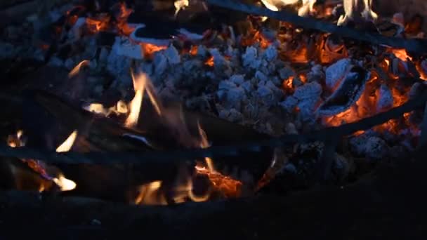 Foco de madeira queimando dentro de uma lareira. Fogo brincando em torno de madeira queimada na lareira
 - Filmagem, Vídeo