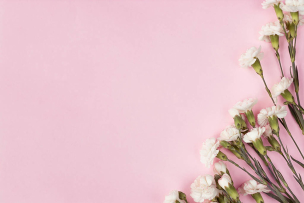 Bloemen op een roze achtergrond. Bovenaanzicht - Foto, afbeelding
