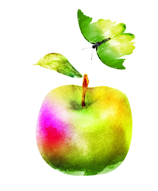 Watercolor apple and butterfly on white - Foto, imagen