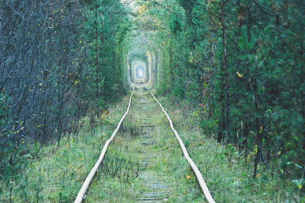 Old railway in the autumn forest. Natural tunnel - Foto, Imagem